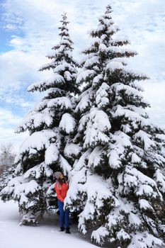 Young beautiful girl in a bright coral jacket and blue jeans in the winter walking through the snow-covered fairy-tale forest near the tall and slender snow-covered fir trees against the blue sky