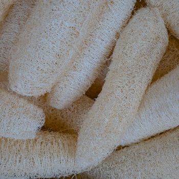 The close up of natural loofah Sponge for exfoliating bath spa.