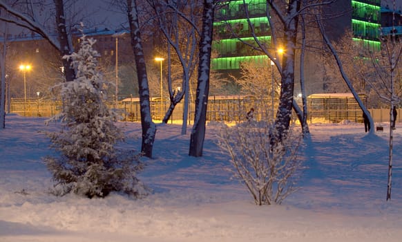 Winter night in the city park. The land is covered with recently fallen snow. Fresh snow lies on the trees. Light of lanterns. Unrecognizable people walking along the road