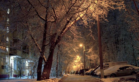 City courtyard after snowfall. Beautifull trees is covered with recently fallen snow. Fresh snow lies on the groung and cars. Light of lanterns. Janitor cleans the road from snow