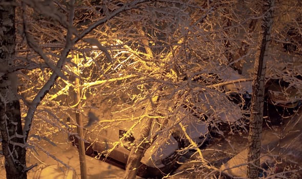 Snow covered trees and cars in the light of street lamps. High angle view. City courtyard after snowfall. Cars under the snow