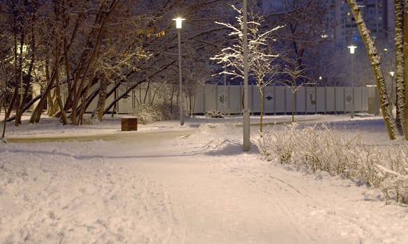 Winter night city park. The land is covered with recently fallen snow. Fresh snow lies on tree branches. Light of lanterns.
