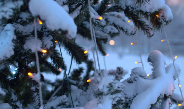 Close up snow covered branches of Christmas tree outdoors. Flickering lights of a garland. City holiday decorations. Snowfall in the city.