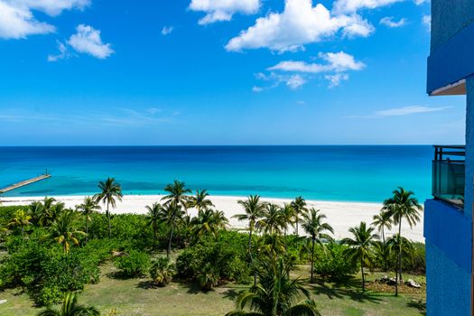 View of a beach and palms in a sunny day. In the beach are no one