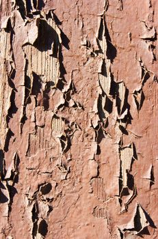 old brown painted boards with cracked paint outside closeup