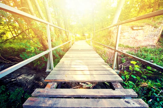 Charming nature scenery in forest with footbridge. Summer sun.