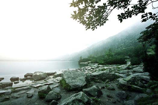 Fog over lake in mountains. Nature conceptual image. Morskie Oko in Tatry, Poland.