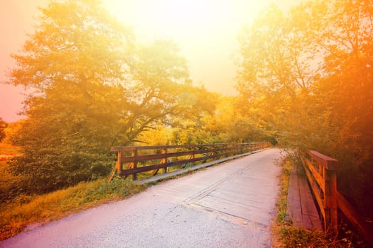 Autumn scenery. Autumn in the park. Fall in the forest with wooden bridge.