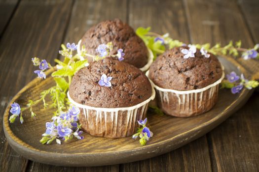 Close up of chocolate muffin cupcakes with blue spring flowers on dark wooden background