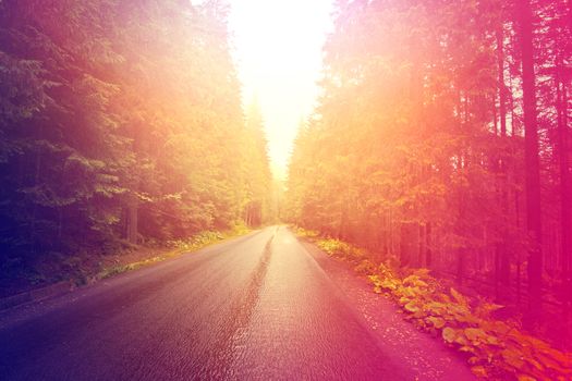 Autumn. Abstract sunburst vintage autumn background. Blurred instagram vintage forest.