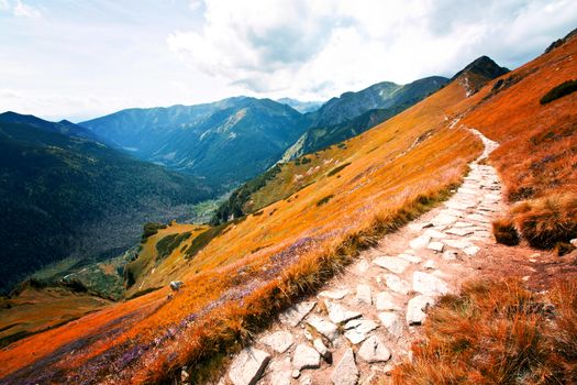 Czerwone Wierchy in Tatry Mountains, Carpathia. Fantasy and colorfull nature landscape. Nature conceptual image.