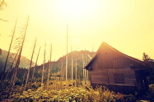 Old wooden house in foggy forest. Mountains scenery. Nature conceptual image. Instagram vintage picture.