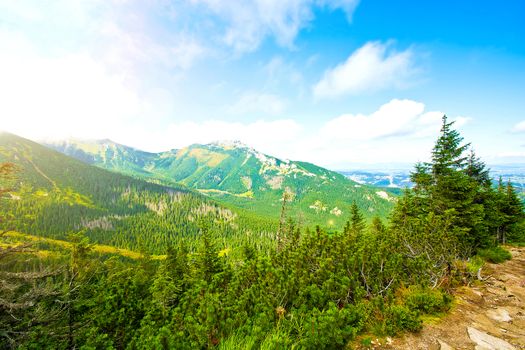 Colorfull nature landscape. Nature conceptual image. Summer in mountains.