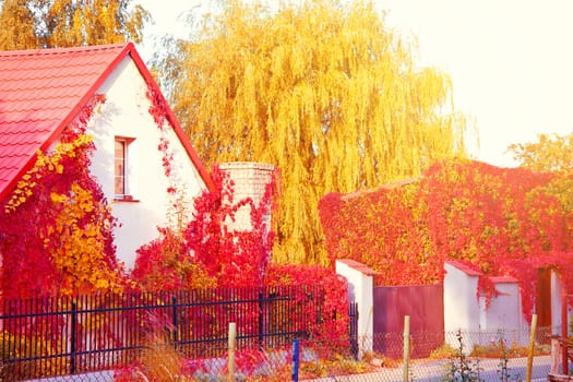 Romantic autumn scenery. Autumn trees and leaves on the house.