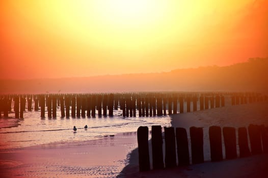 Nature landscape. Sunset over beach.