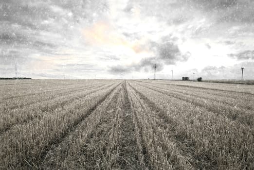 First snow over field. Nature Winter Landscape.