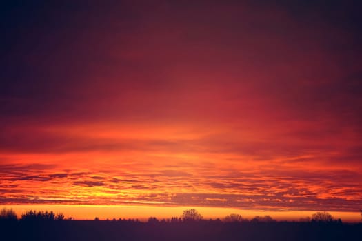 Red sunset clouds over trees. Nature and sky.