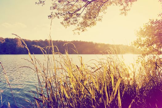 Nature conceptual image. Evening on the lake at summer. Instagram vintage picture.