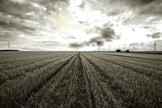 Black and white rural landscape. Field and sky with clouds.