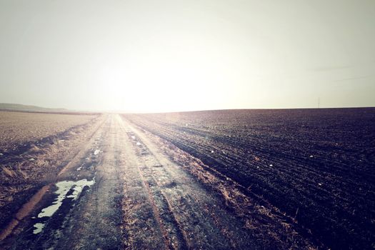 Country road in cold vintage colors. Outdoor concept.