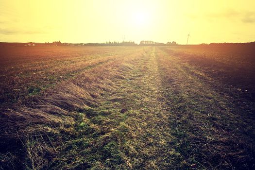 Country field and bright sun. Instagram vintage picture.