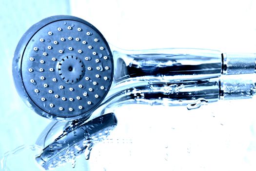 Handshower and water in the bath.