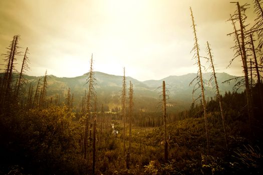 Mountains. Fantasy abstract nature landscape. Nature conceptual image.