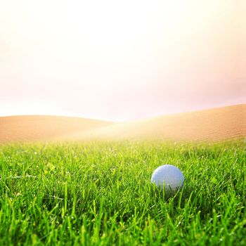 Golfball in the green grass on the golf course. Sport conceptual image.