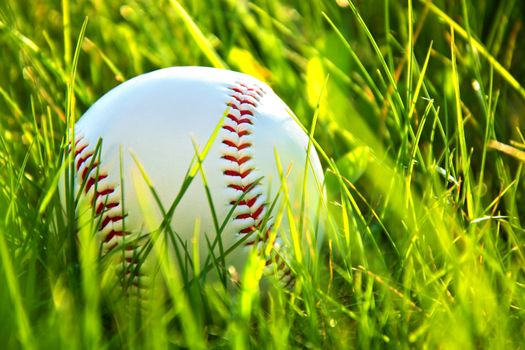 Baseball game. Baseball ball in grass.