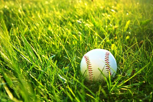 Baseball game. Baseball ball in grass.