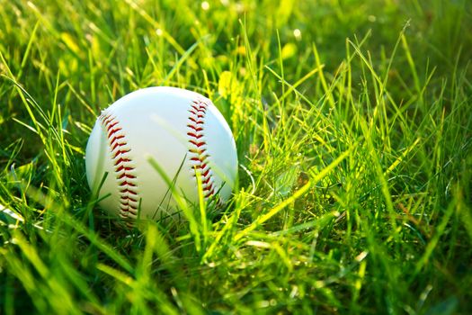 Baseball game. Baseball ball in grass.