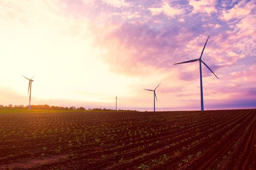 Windmills on the windfarm agriculture land. Field  and sky at sunset. Green renewable alternative energy source.