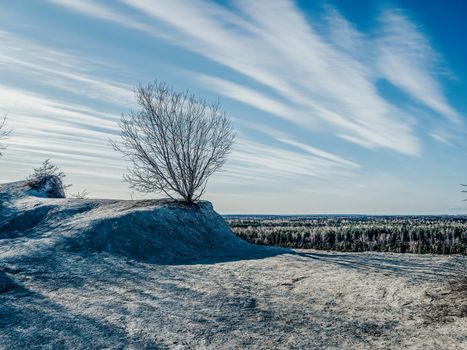 Hills and Dramatic blue sky over old lonely tree. Morning landscape. Lonely tree on a mountain meadow against. Copy space for text. Filtered Image for wallpaper, desktop.