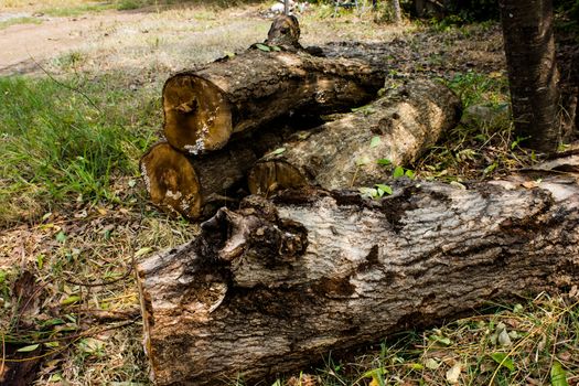 Timber material in country