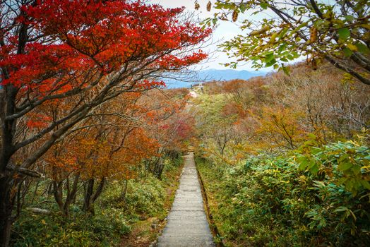 Beautiful Fall & Autumn Scenery. Mount Gozaisho in Komono, Mie.