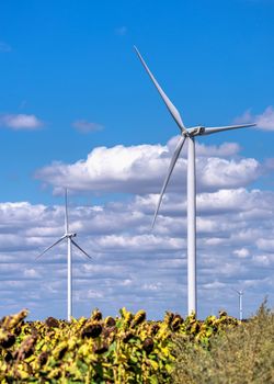 Parutino, Ukraine 08.17.2019. Wind generators in a sunflower field against a cloudy sky near the Ancient greek colony Olbia in Ukraine on a sunny summer day