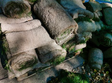 A close up of a rock. High quality photo