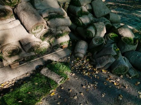 A pile of vegetables sitting on a rock. High quality photo