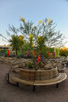 USA, PHOENIX, ARIZONA- NOVEMBER 17, 2019:  multi-colored plastic animal figures among cacti of different species in the botanical garden of the Phoenix, Arizona