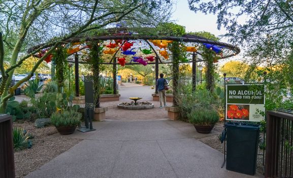 USA, PHENIX, ARIZONA- NOVEMBER 17, 2019:  original installation with plastic frogs above the fountain at the entrance to the Phoenix Botanical Garden, Arizona