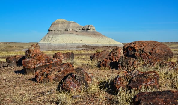 The trunks of petrified trees, multi-colored crystals of minerals. Petrified Forest National Park, Arizona