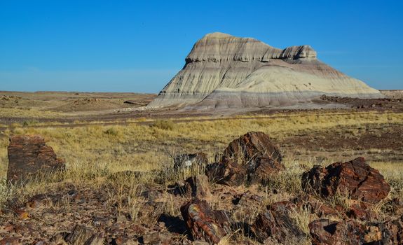 The trunks of petrified trees, multi-colored crystals of minerals. Petrified Forest National Park, Arizona