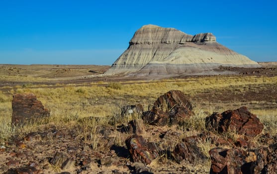 The trunks of petrified trees, multi-colored crystals of minerals. Petrified Forest National Park, Arizona