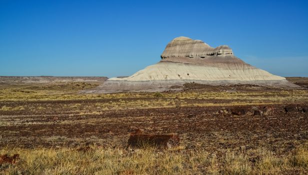 The trunks of petrified trees, multi-colored crystals of minerals. Petrified Forest National Park, Arizona