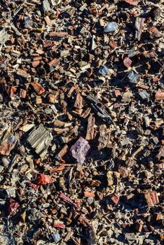 Placers of colored pieces of petrified sequoia trees, Petrified Forest National Park, Arizona