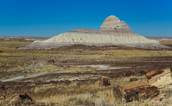 The trunks of petrified trees, multi-colored crystals of minerals. Petrified Forest National Park, Arizona