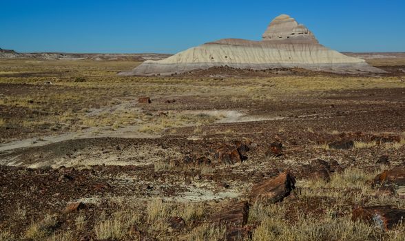 The trunks of petrified trees, multi-colored crystals of minerals. Petrified Forest National Park, Arizona