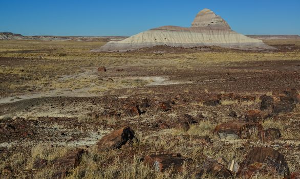 The trunks of petrified trees, multi-colored crystals of minerals. Petrified Forest National Park, Arizona