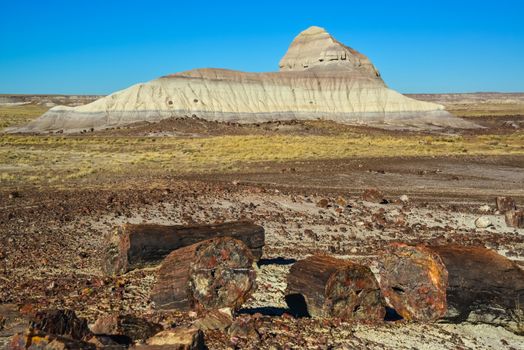 The trunks of petrified trees, multi-colored crystals of minerals. Petrified Forest National Park, Arizona