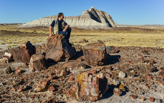 A tourist looks into the distance and admires the scenery. Petrified Forest National Park, Arizona